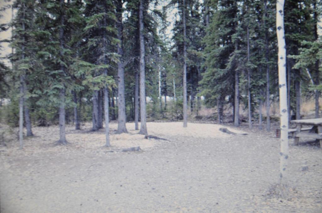 Tok Rv Village And Cabins Стая снимка